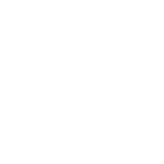 DepthData logo