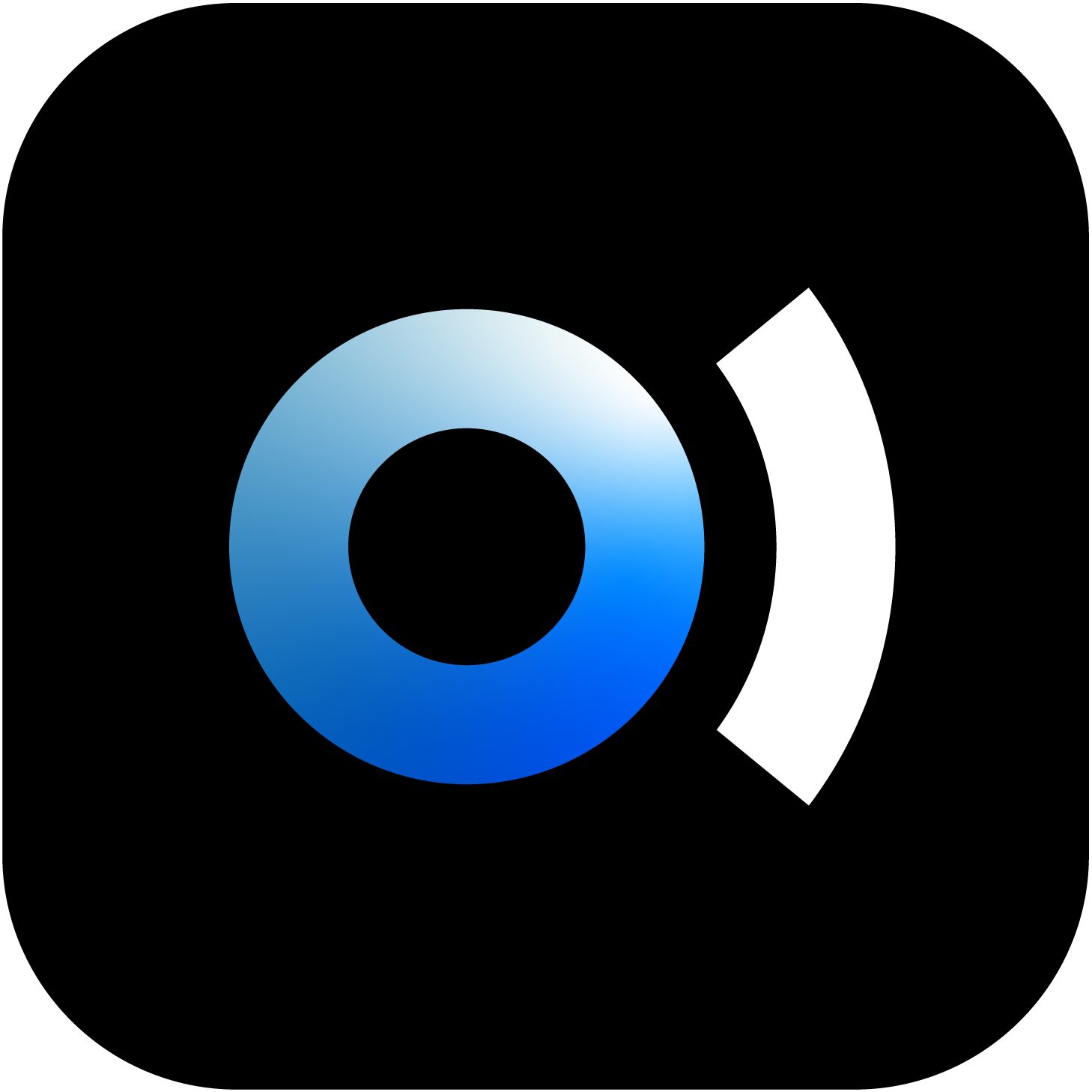 SocialEcho 2.0 logo